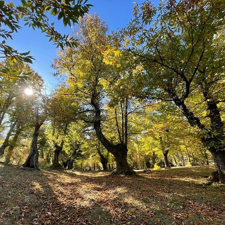 “All'Antica Dogana” Bosco  Kültér fotó