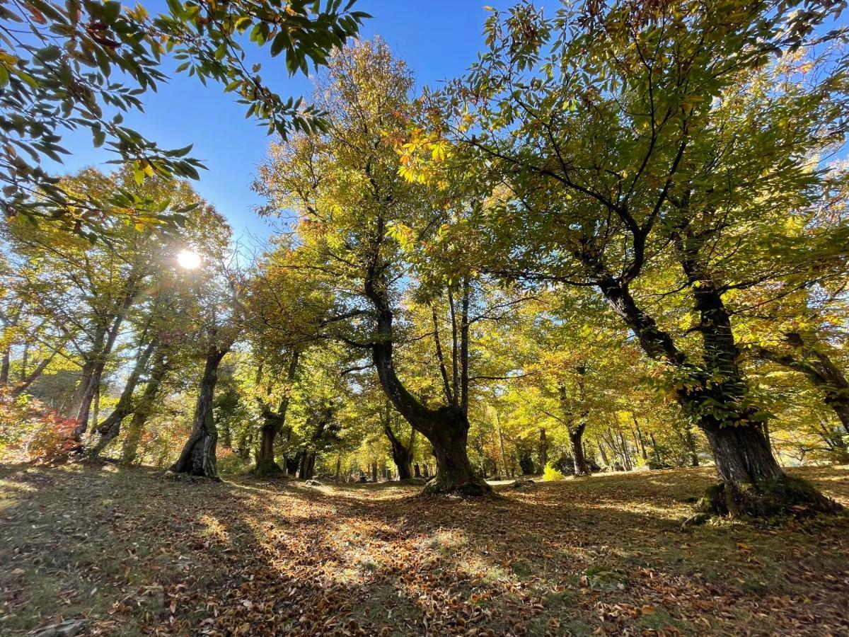 “All'Antica Dogana” Bosco  Kültér fotó